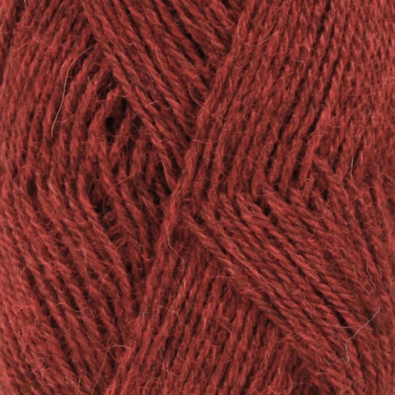 Alpaca